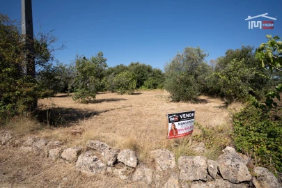 Terreno para Venda em Nossa Senhora das Misericordias