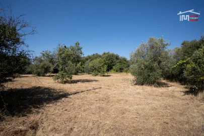 Terreno para Venda em Nossa Senhora das Misericordias