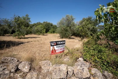 Terreno para Venda em Nossa Senhora das Misericordias