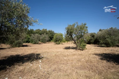 Terreno para Venda em Nossa Senhora das Misericordias