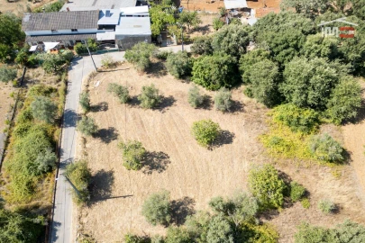 Terreno para Venda em Nossa Senhora das Misericordias