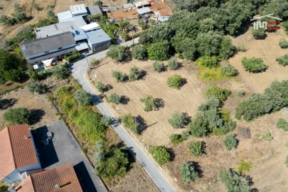 Terreno para Venda em Nossa Senhora das Misericordias