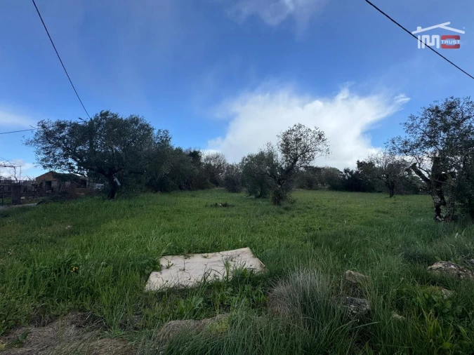 Terreno para Venda em Nossa Senhora das Misericordias Foto 4