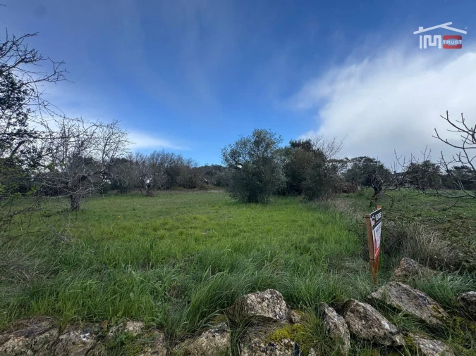 Terreno para Venda em Nossa Senhora das Misericordias Foto 6