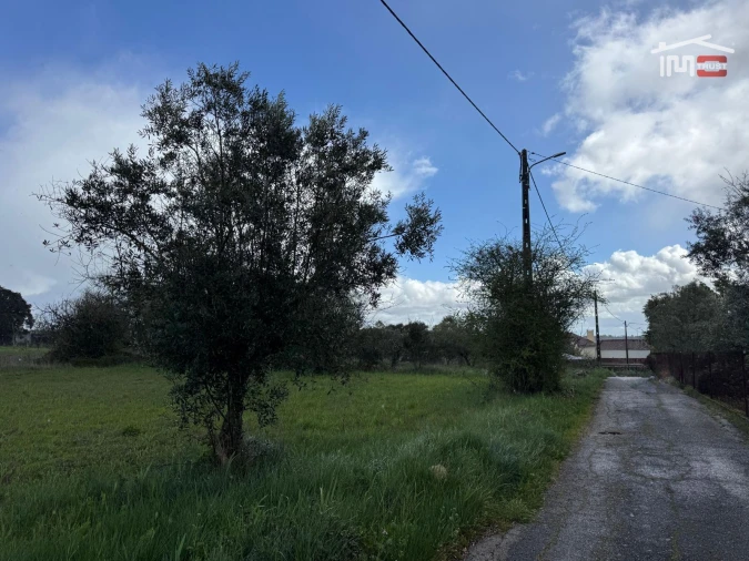 Terreno para Venda em Nossa Senhora das Misericordias Foto 11
