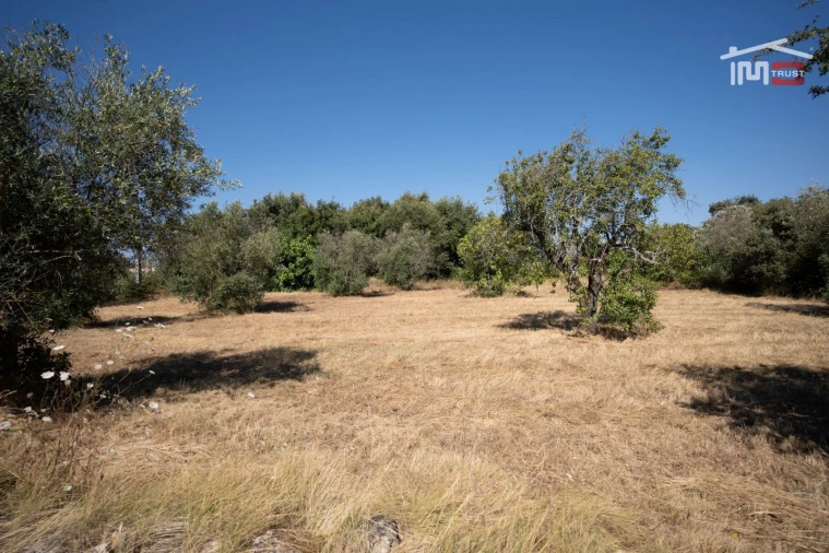 Terreno para Venda em Nossa Senhora das Misericordias Foto 4