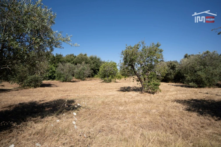 Terreno para Venda em Nossa Senhora das Misericordias Foto 9
