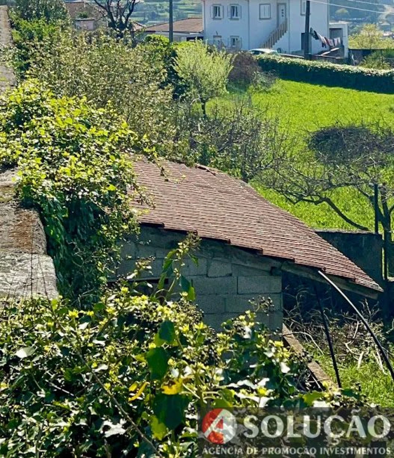 Moradia T3 para Venda em Monte Córdova Foto 21