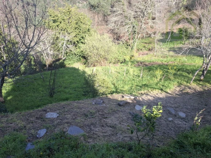 Moradia T5 para Venda em Arganil Foto 22