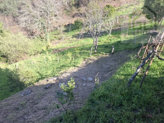 Moradia T5 para Venda em Arganil Foto 24