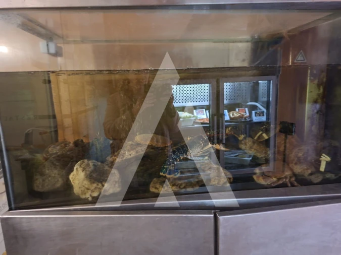 Negócio para Arrendamento em Santa Maria Maior e Monserrate e Meadela Foto 5