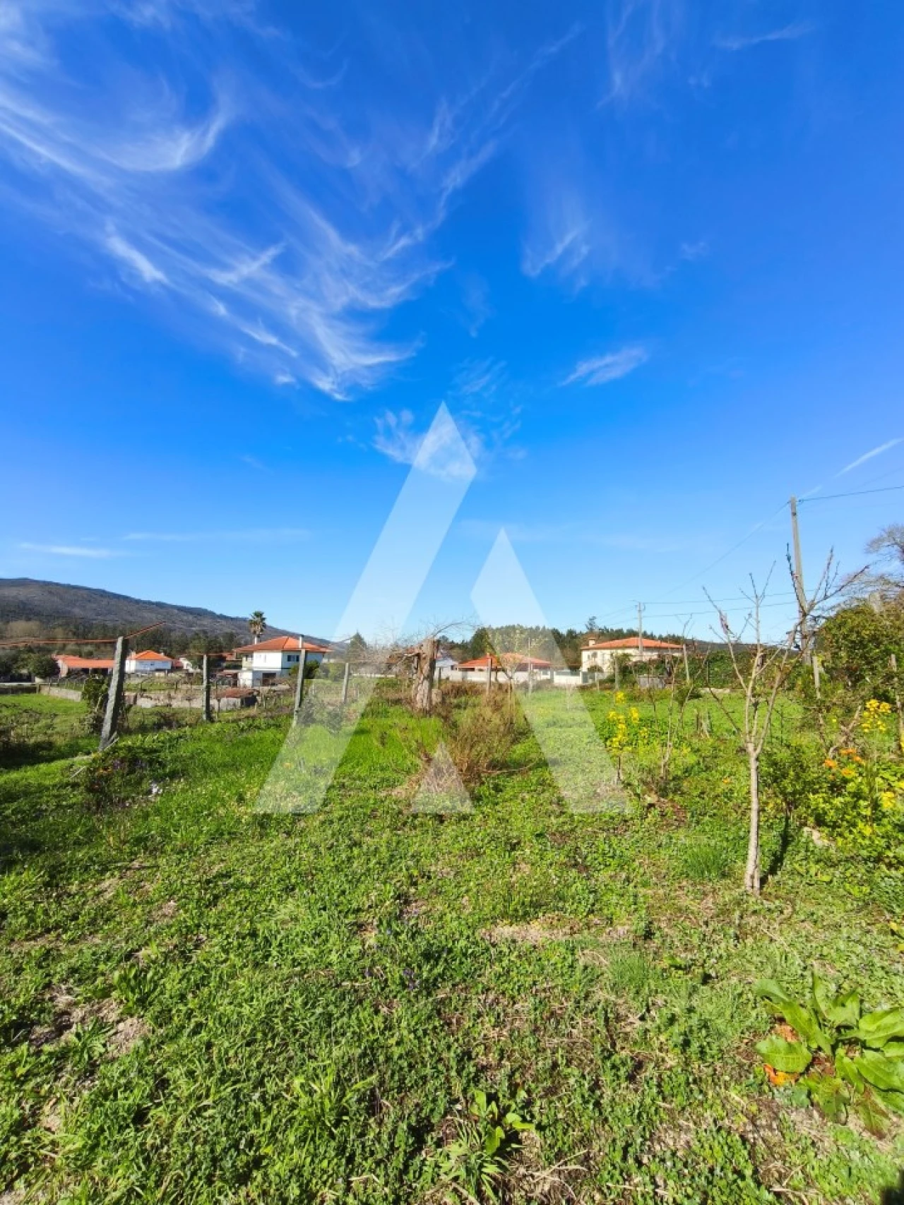 Moradia T3 para Venda em Cossourado Foto 21