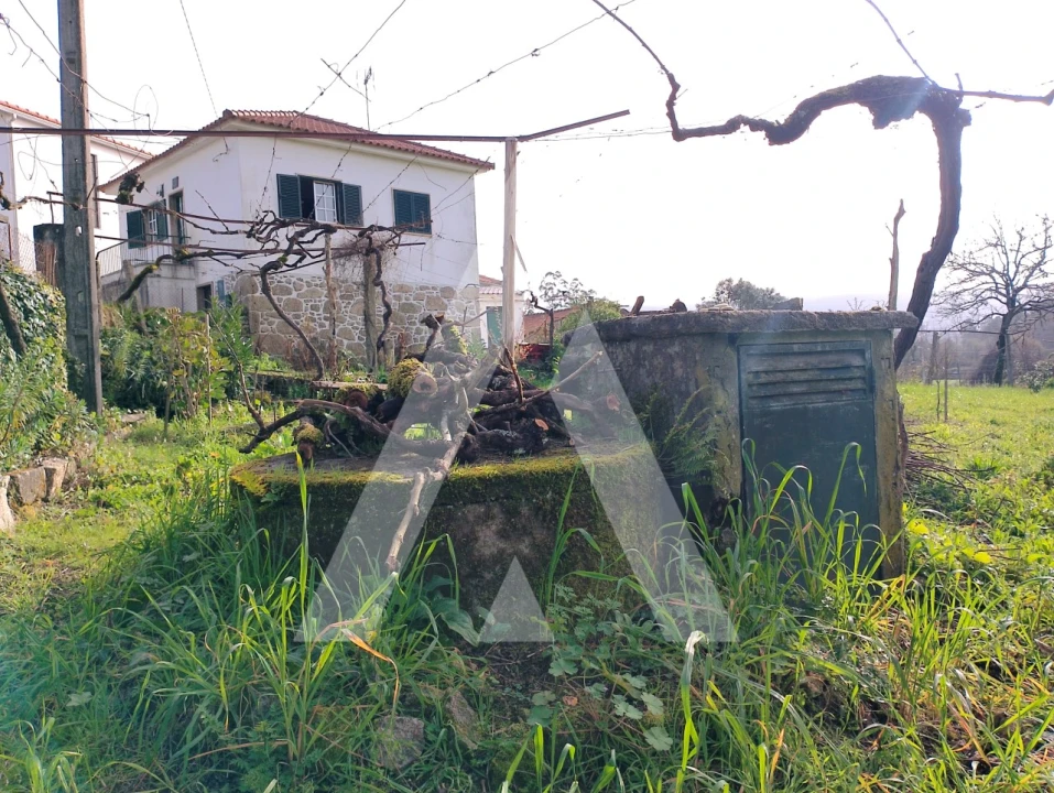 Moradia T3 para Venda em Cossourado Foto 23