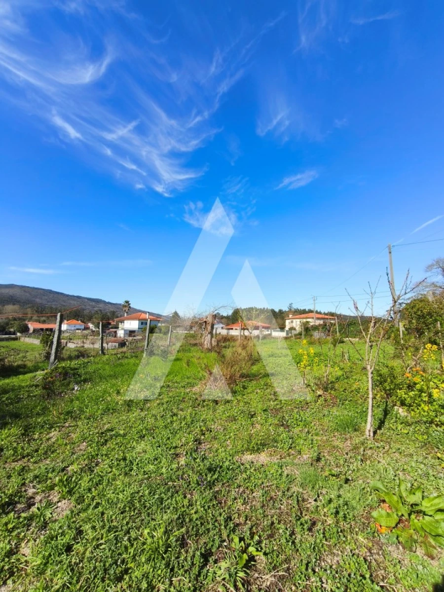 Moradia T3 para Venda em Cossourado Foto 21