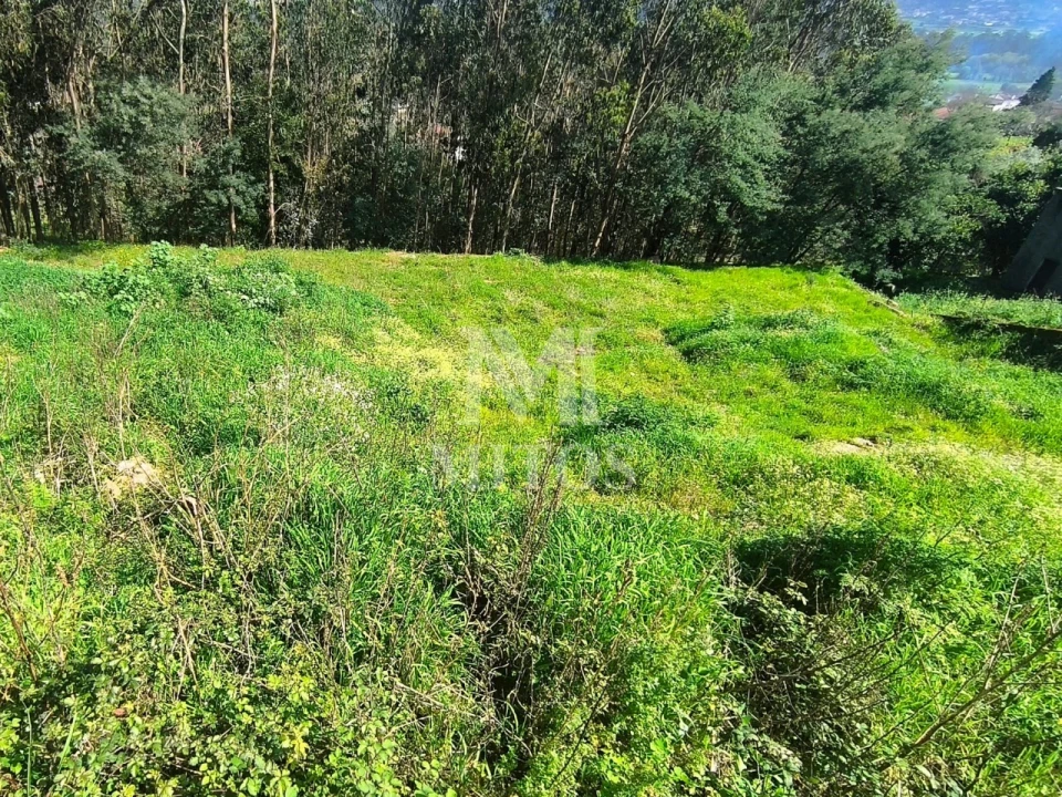 Terreno para Venda em Quintiães e Aguiar Foto 2