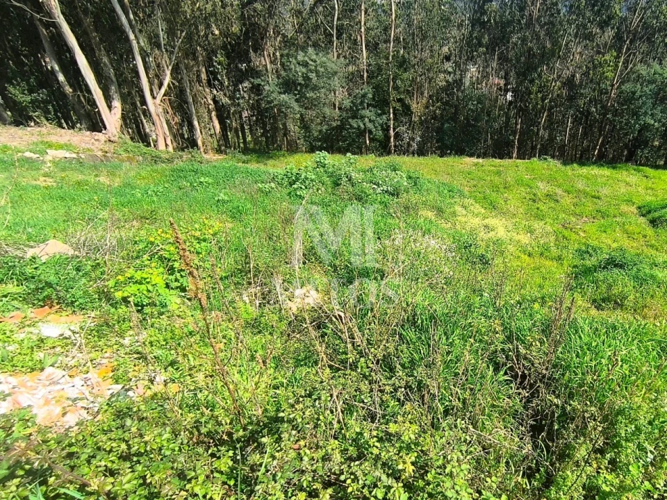 Terreno para Venda em Quintiães e Aguiar Foto 3
