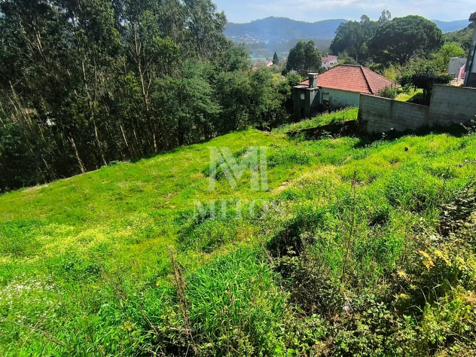 Terreno para Venda em Quintiães e Aguiar Foto 6