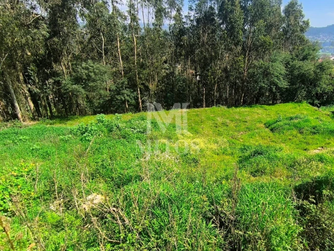 Terreno para Venda em Quintiães e Aguiar