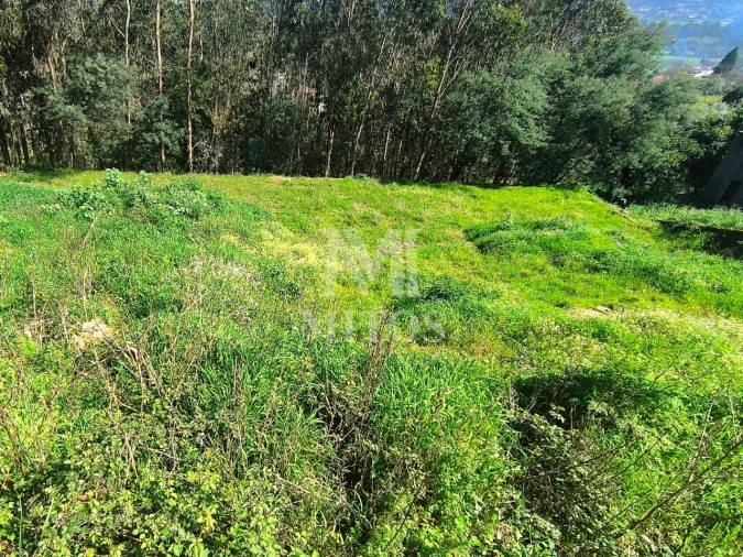 Terreno para Venda em Quintiães e Aguiar Foto 2