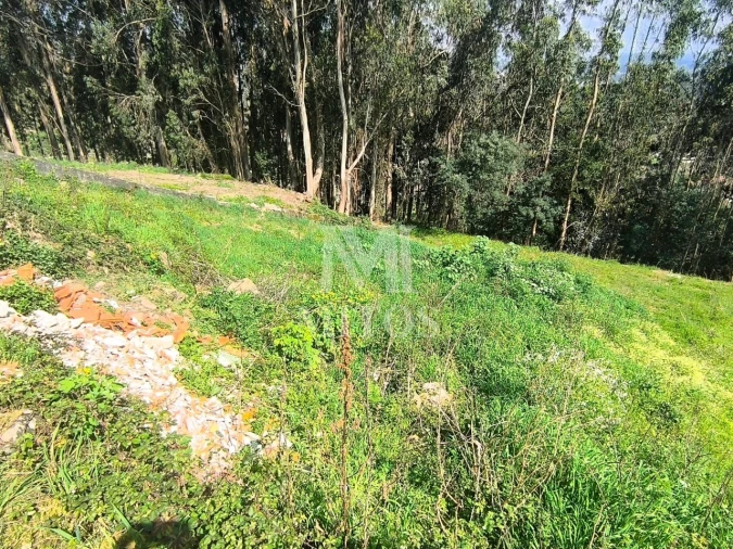 Terreno para Venda em Quintiães e Aguiar Foto 4
