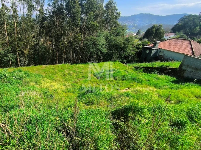 Terreno para Venda em Quintiães e Aguiar Foto 5