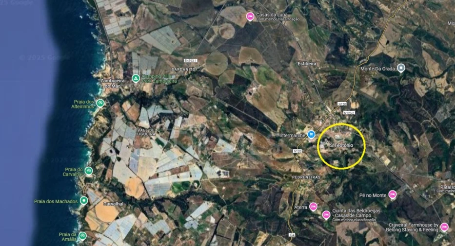 Terreno para Venda em São Teotónio Foto 3