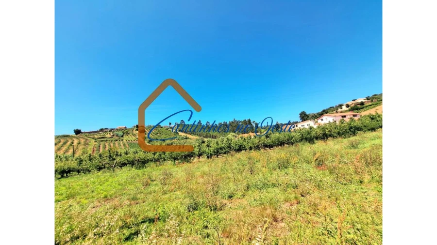 Moradia T3 para Venda em Salir de Matos Foto 10