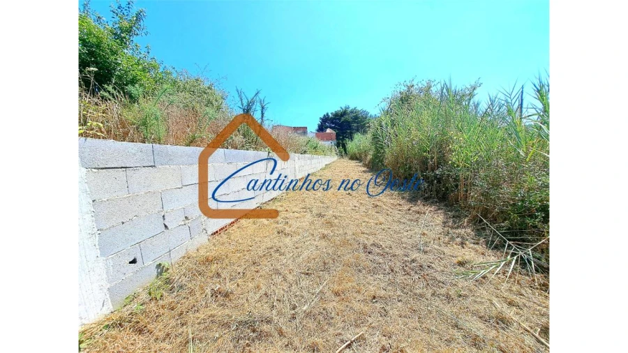 Moradia T3 para Venda em Salir de Matos Foto 11