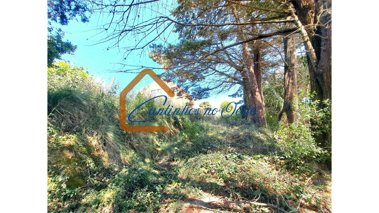 Moradia T3 para Venda em Salir de Matos Foto 2