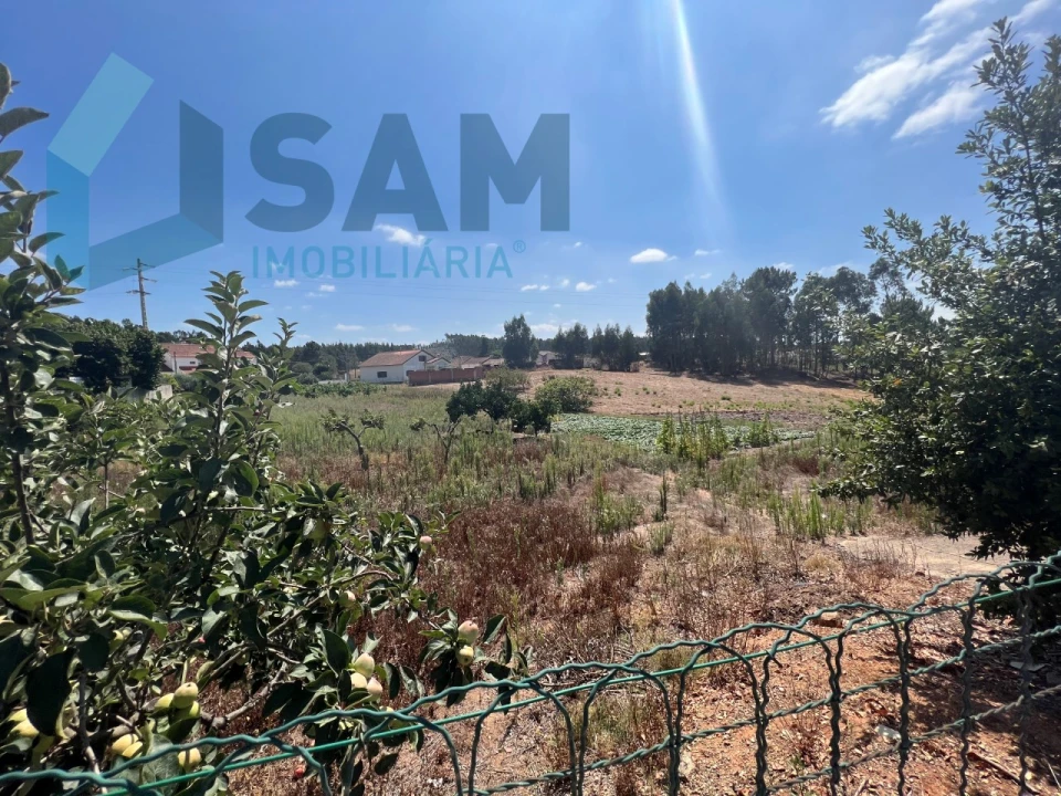 Terreno para Venda em Ramalhal Foto 5