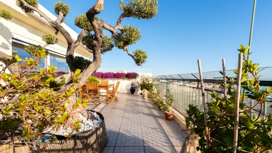 Apartamento T7 para para venda em Faro (Sé e São Pedro) Foto 33