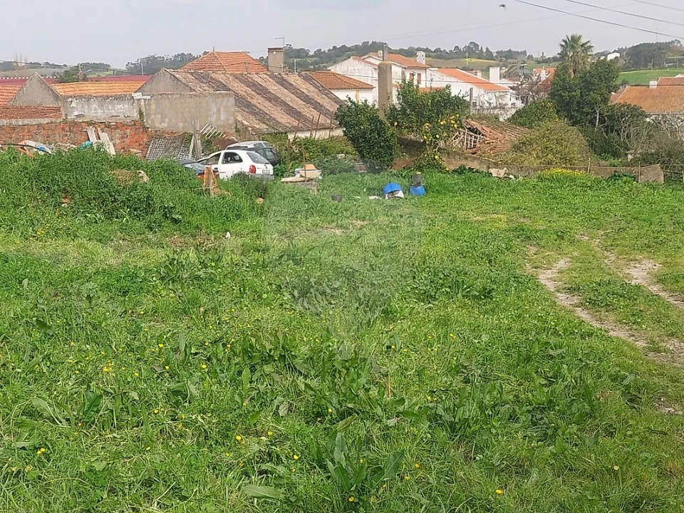 Terreno para Venda em Ventosa Foto 3