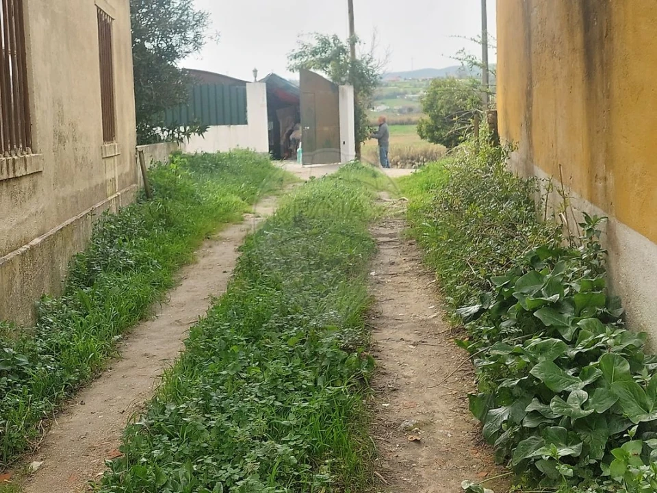 Terreno para Venda em Ventosa Foto 7