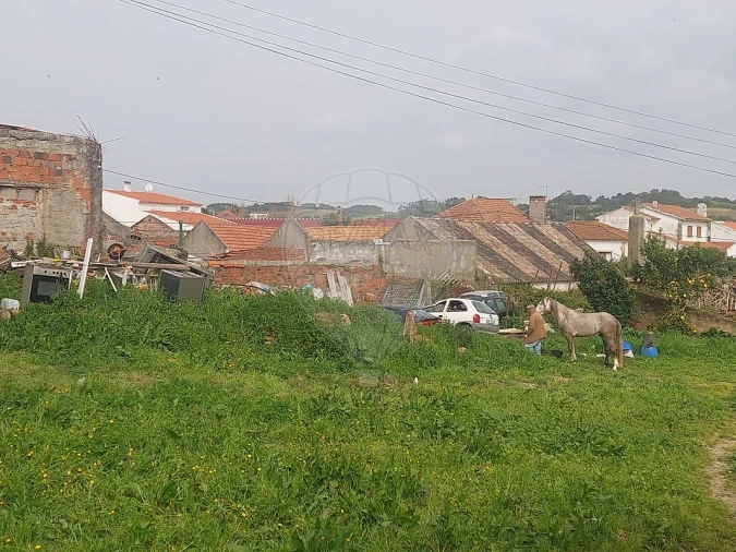 Terreno para Venda em Ventosa Foto 5