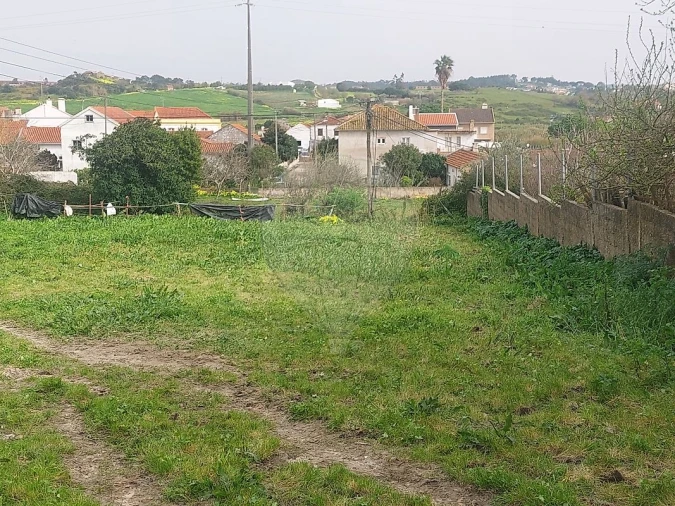 Terreno para Venda em Ventosa Foto 2