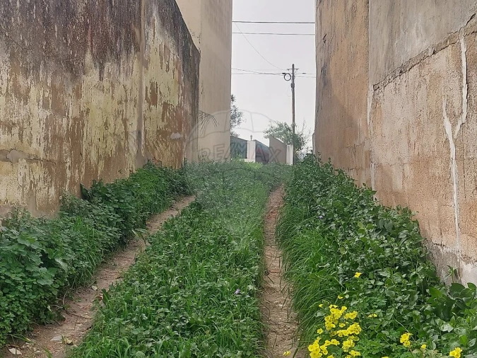 Terreno para Venda em Ventosa Foto 8