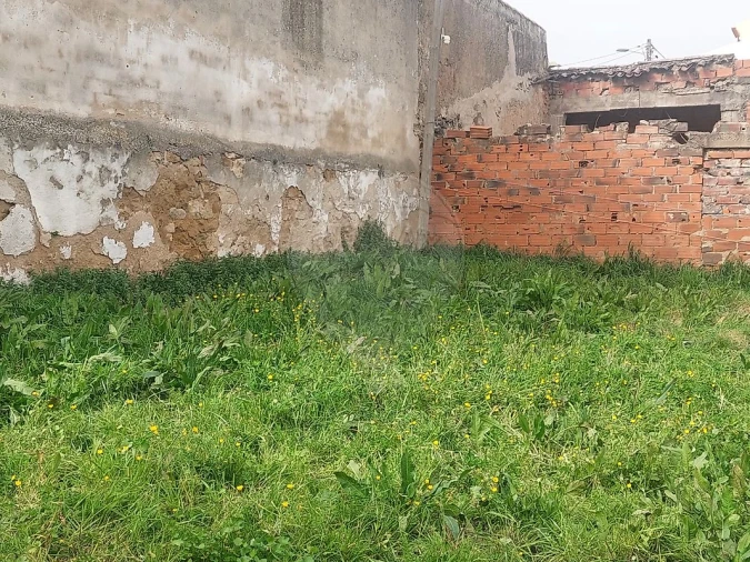 Terreno para Venda em Ventosa Foto 6