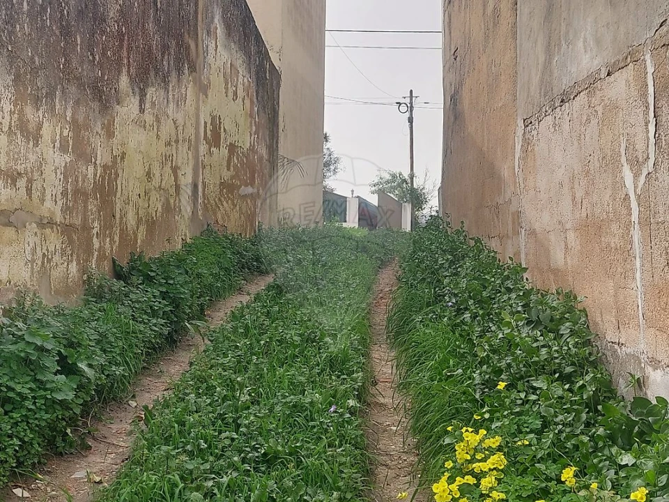 Terreno para Venda em Ventosa Foto 8