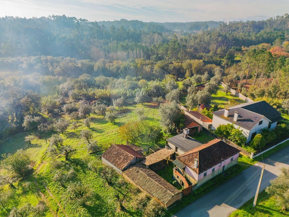 Moradia T3 para Venda em Pombal Foto 3