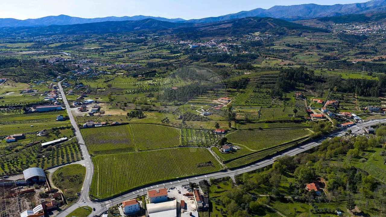 Quinta T7 para Venda em Alcaria Foto 49