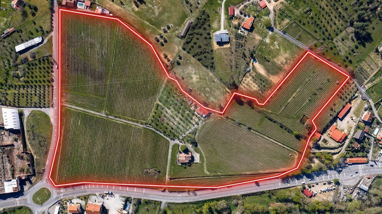 Quinta T7 para Venda em Alcaria Foto 43