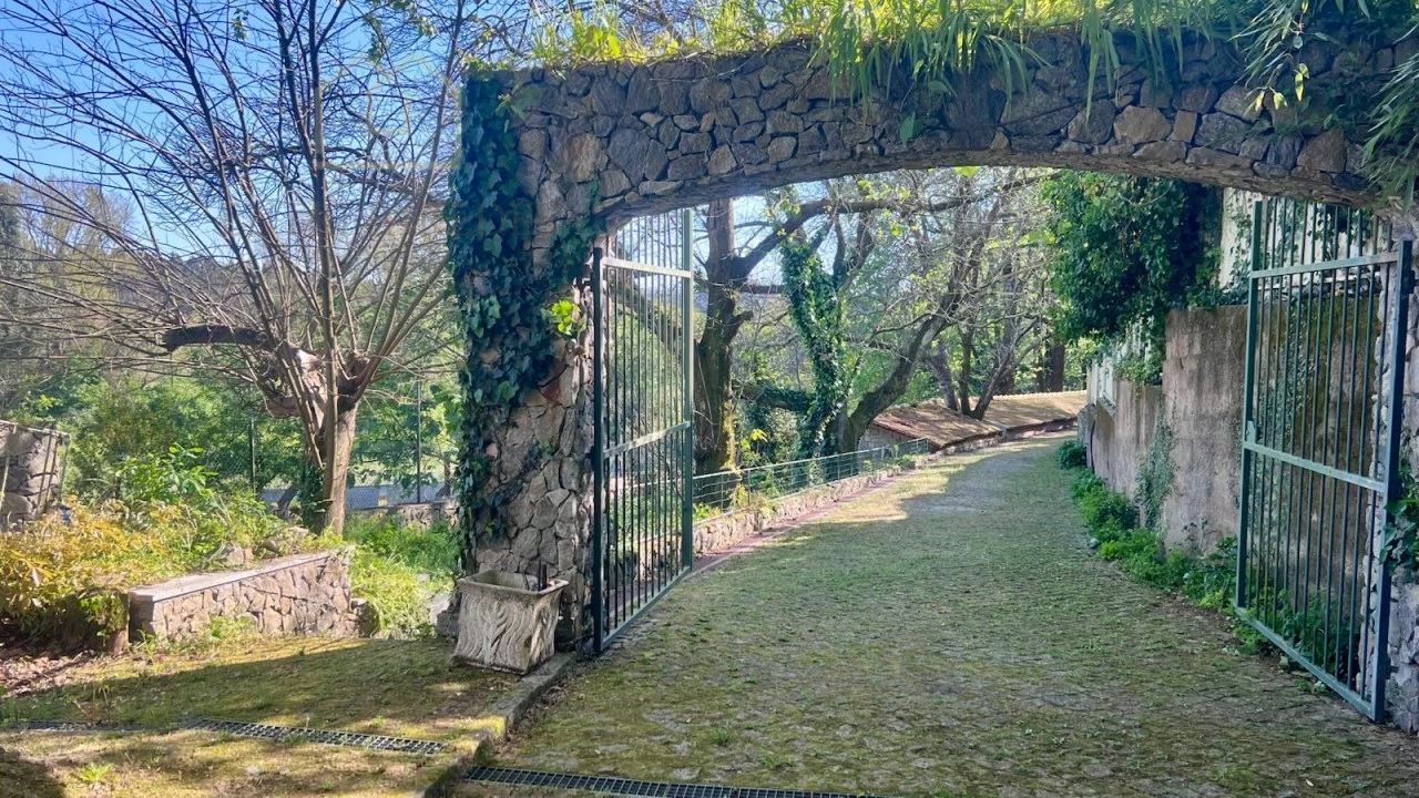 Quinta T6 para Venda em Santa Maria da Feira, Travanca, Sanfins e Espargo Foto 59
