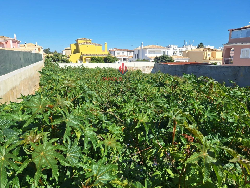 Terreno para Venda em Lagoa e Carvoeiro Foto 4