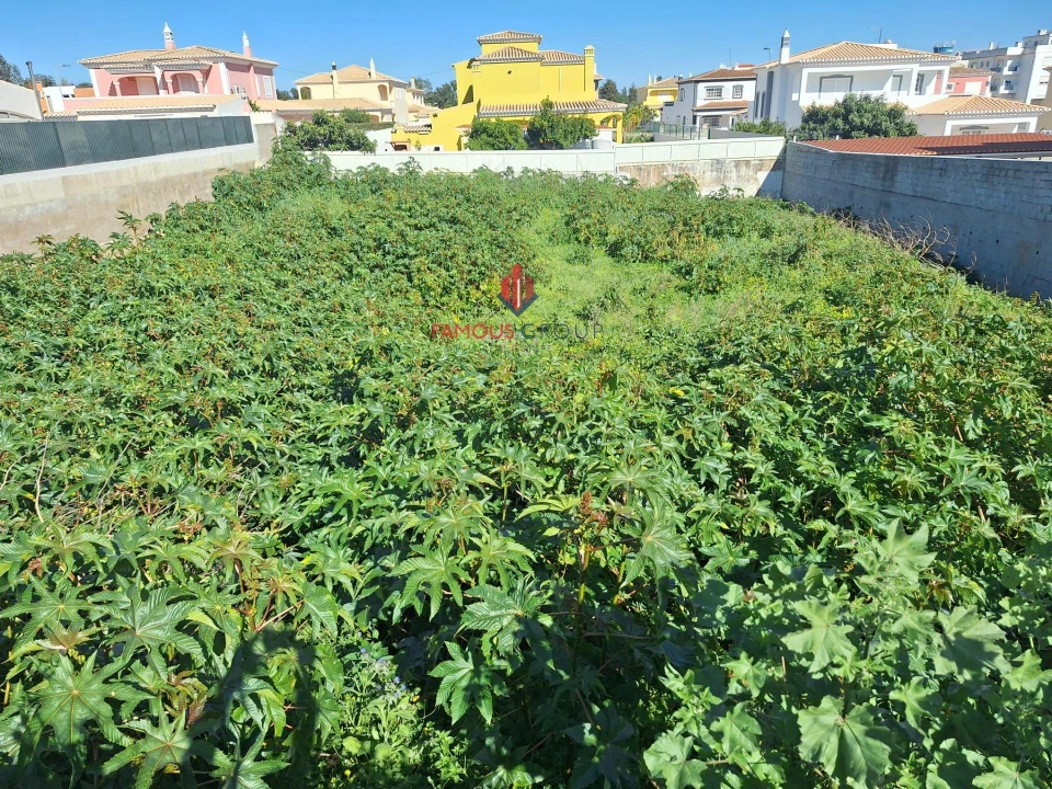 Terreno para Venda em Lagoa e Carvoeiro Foto 5