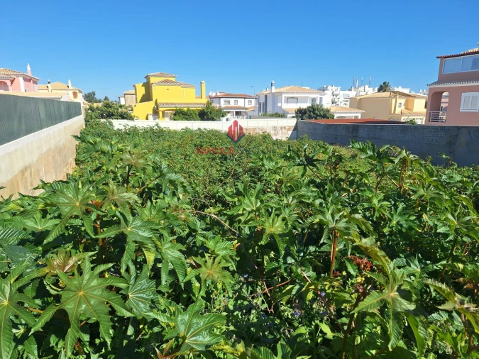 Terreno para Venda em Lagoa e Carvoeiro Foto 4