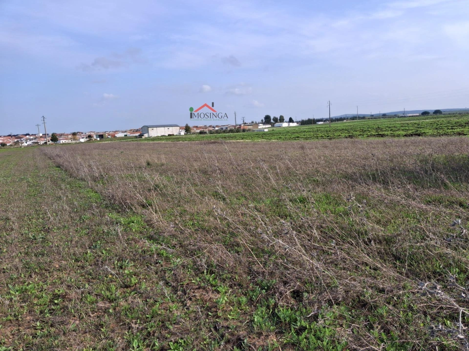 Terreno Agricola ou Rústico para Venda em Ferreira do Alentejo e Canhestros Foto 1