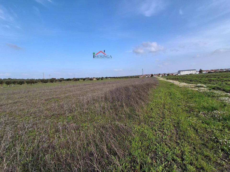 Terreno Agricola ou Rústico para Venda em Ferreira do Alentejo e Canhestros Foto 10