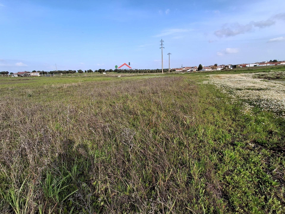 Terreno Agricola ou Rústico para Venda em Ferreira do Alentejo e Canhestros Foto 11
