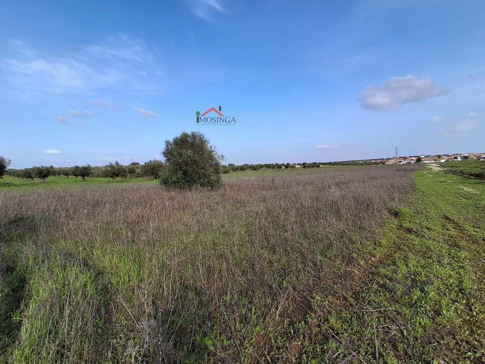 Terreno Agricola ou Rústico para Venda em Ferreira do Alentejo e Canhestros Foto 9