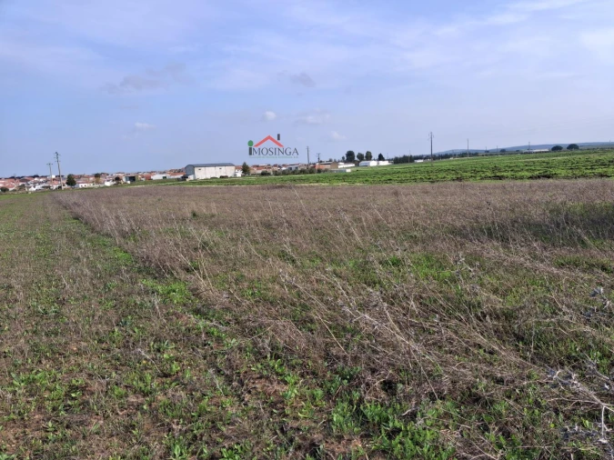 Terreno Agricola ou Rústico para Venda em Ferreira do Alentejo e Canhestros Foto 1